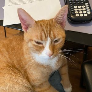 Meet your Posher, Krista